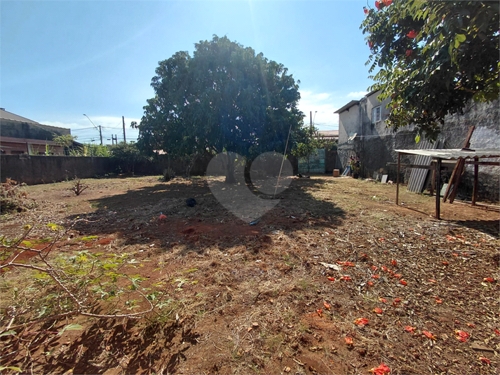 Foto REO1181752