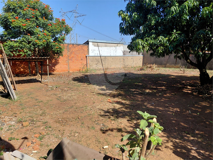 Foto REO1181752