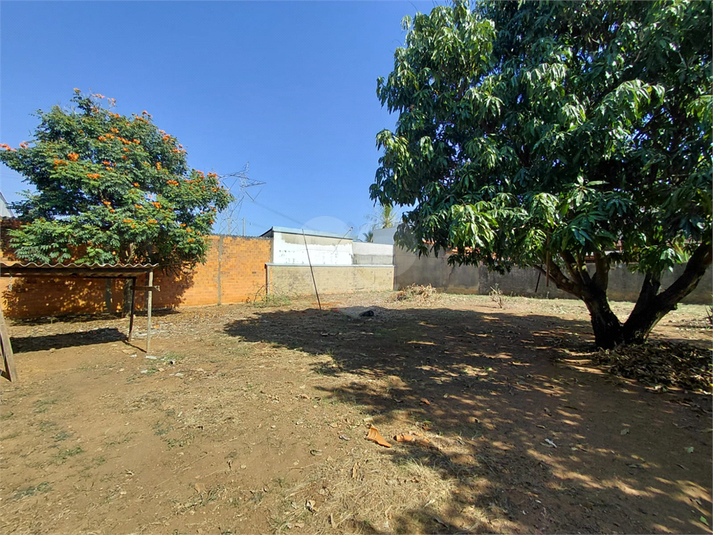 Foto REO1181752