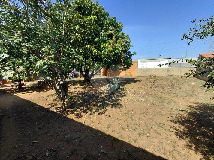 Foto REO1181752