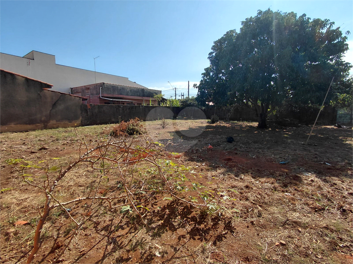 Foto REO1181752
