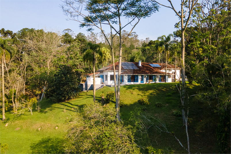 Foto REO1181767