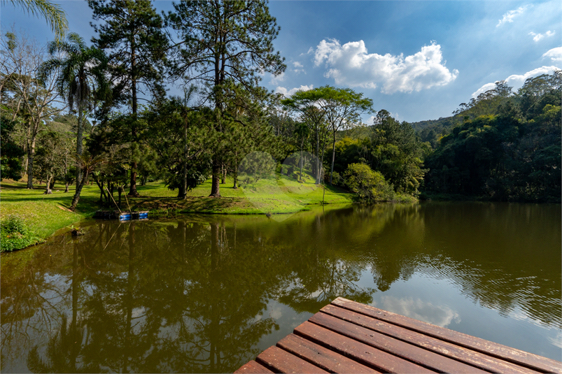 Foto REO1181767