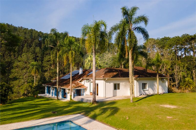 Foto REO1181767