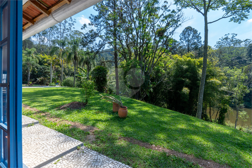 Foto REO1181767