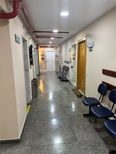 Foto REO1181769