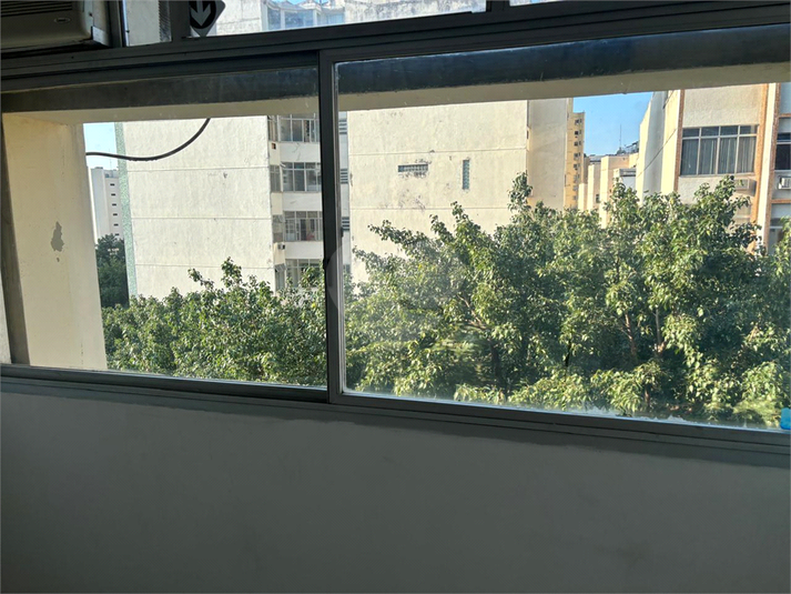 Foto REO1181769