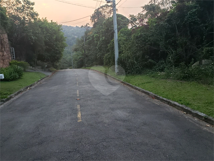 Foto REO1181803