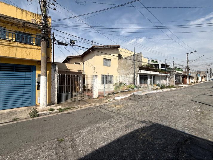 Foto REO1181908