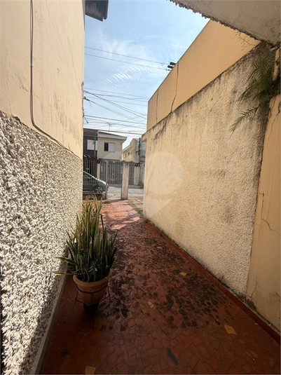 Foto REO1181908
