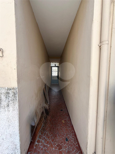 Foto REO1181908