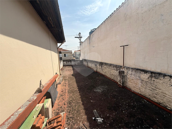 Foto REO1181908