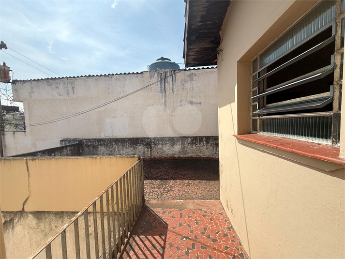 Foto REO1181908