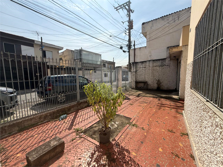 Foto REO1181908