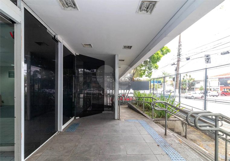 Foto REO1181912