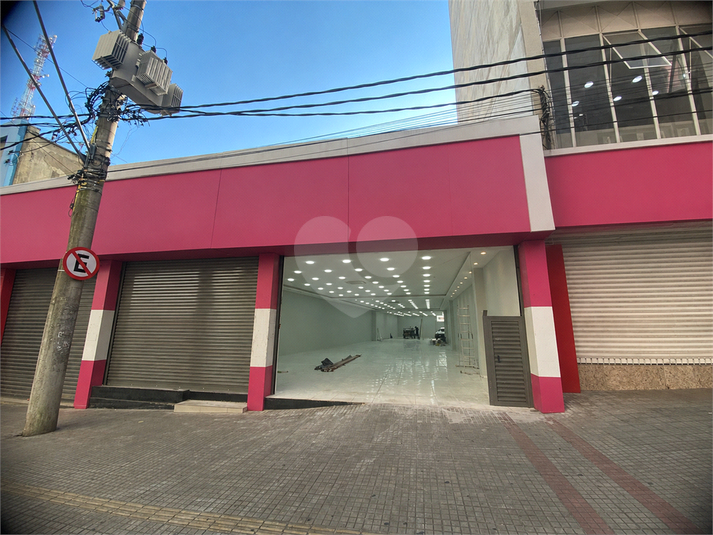 Foto REO1181913