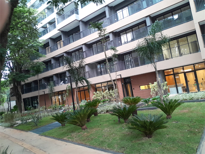 Foto REO1181919