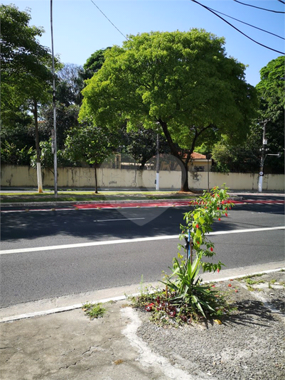 Foto REO1181921