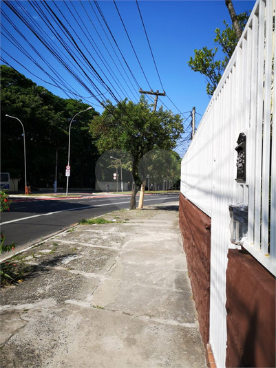 Foto REO1181921
