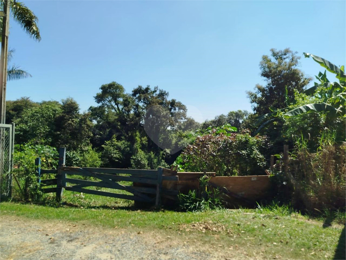 Foto REO1181956