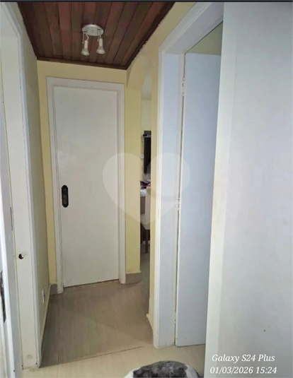 Foto REO1181988