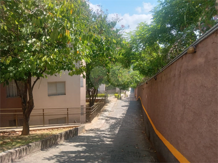 Foto REO1182004