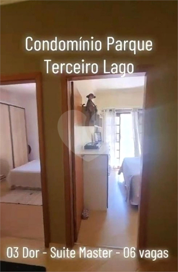 Foto REO1182041
