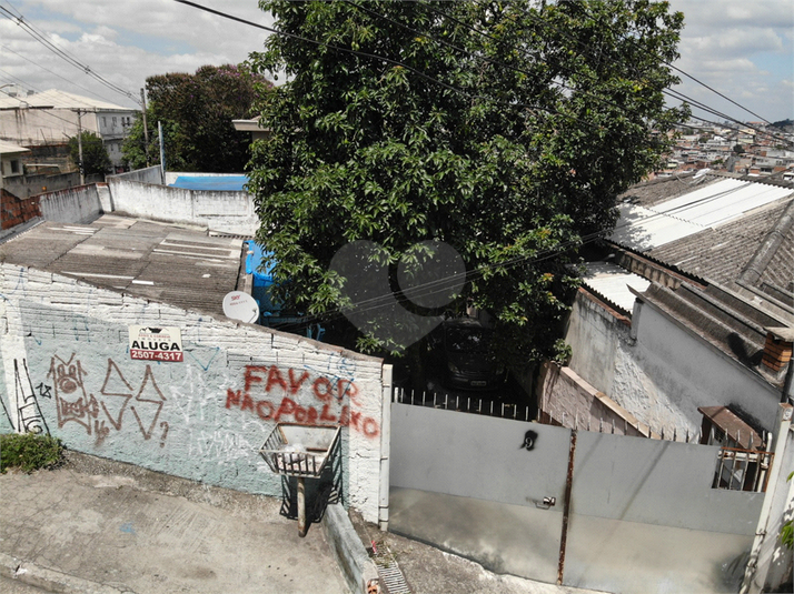 Foto REO1182070