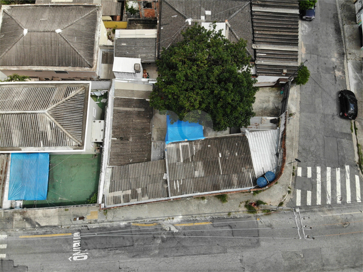 Foto REO1182070