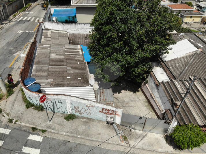 Foto REO1182070