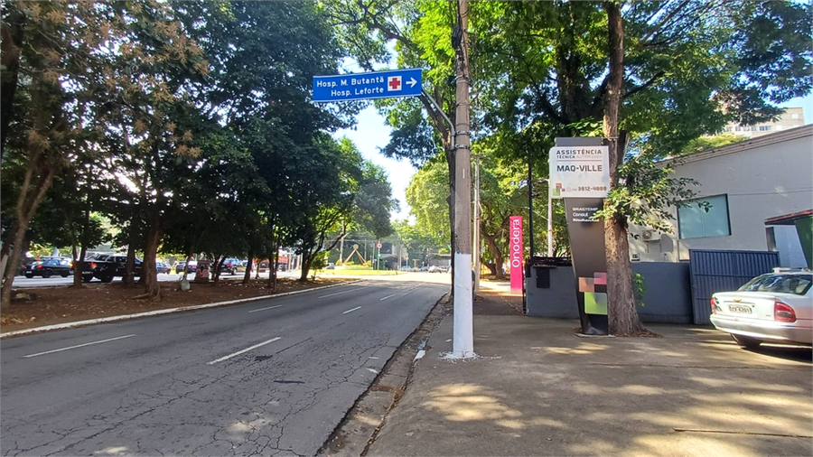 Foto REO1182079