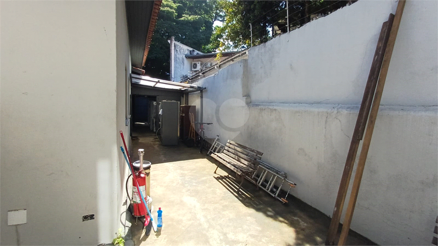 Foto REO1182079
