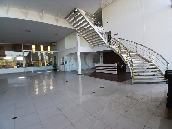 Foto REO1182134