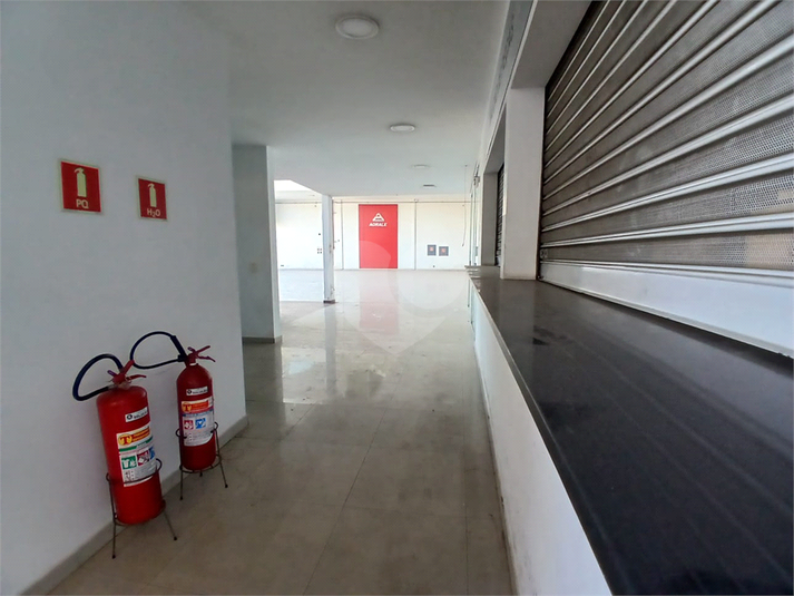 Foto REO1182134