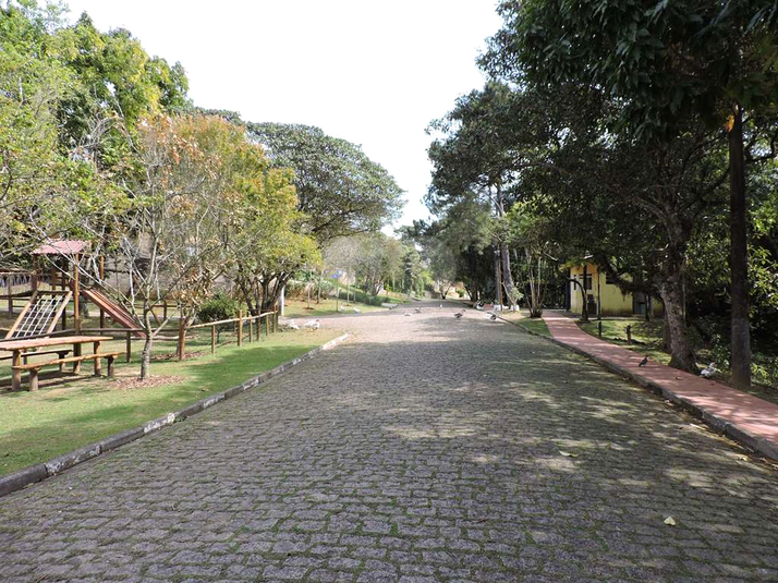 Foto REO1182159
