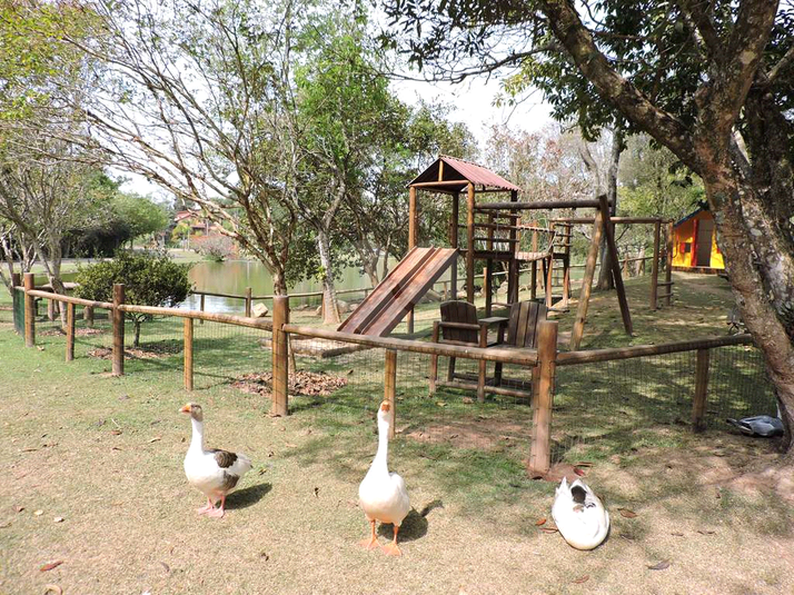Foto REO1182159