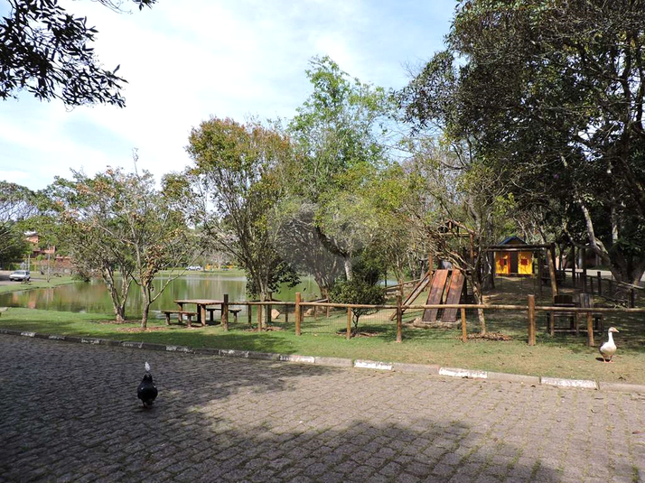 Foto REO1182159
