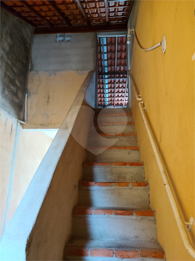 Foto REO1182162