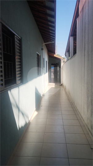 Foto REO1182167