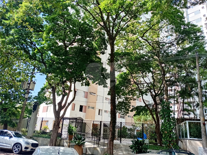 Foto REO1182172