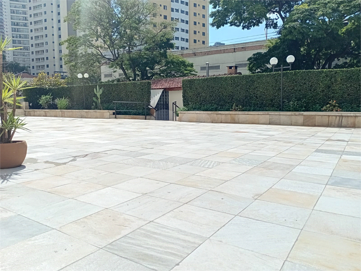 Foto REO1182174