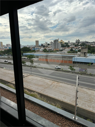 Foto REO1182191