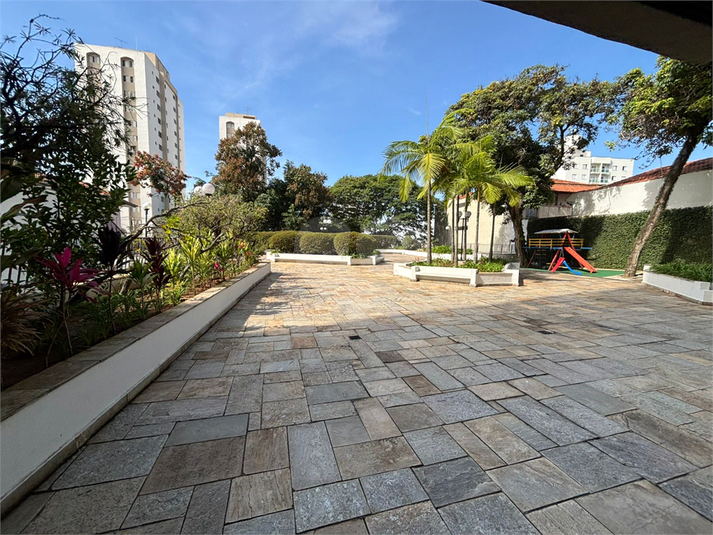 Foto REO1182208