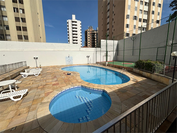 Foto REO1182208