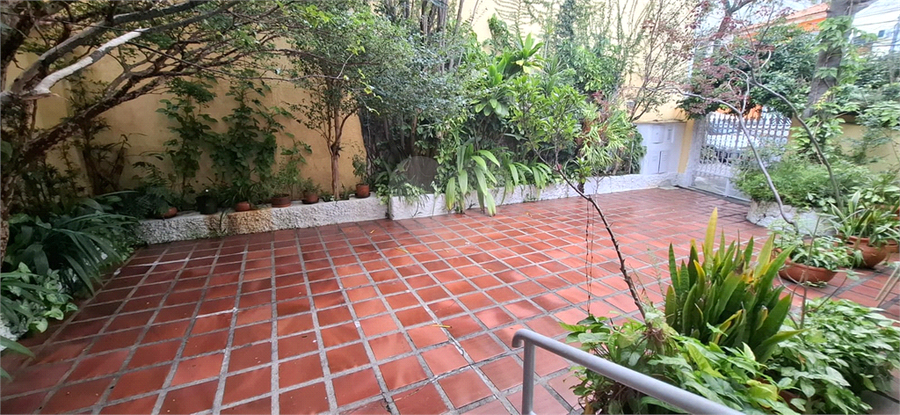 Foto REO1182231