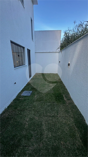 Foto REO1182244