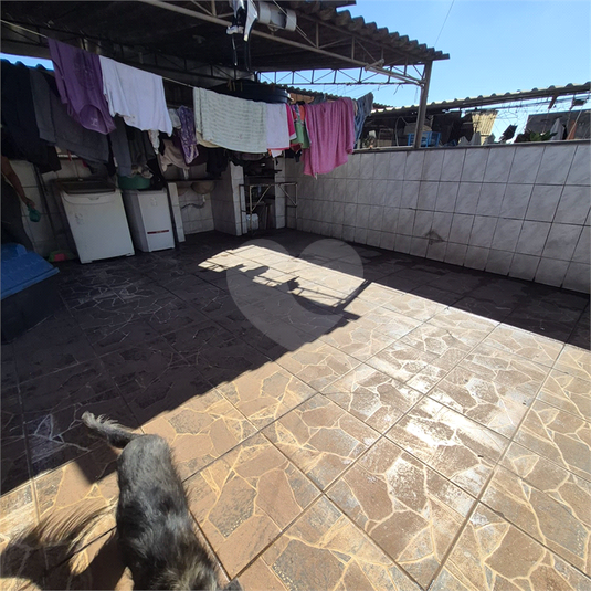 Foto REO1182254