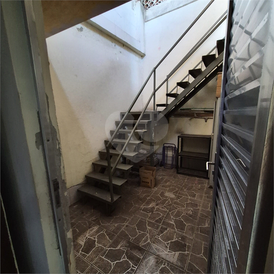 Foto REO1182254