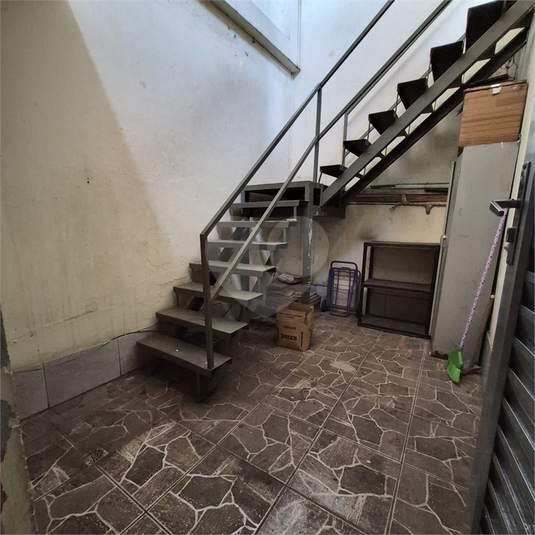 Foto REO1182254