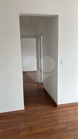 Foto REO1182267